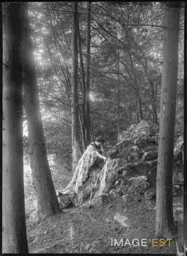 Aimée Michels dans une forêt (Bouxières-aux-Chênes)